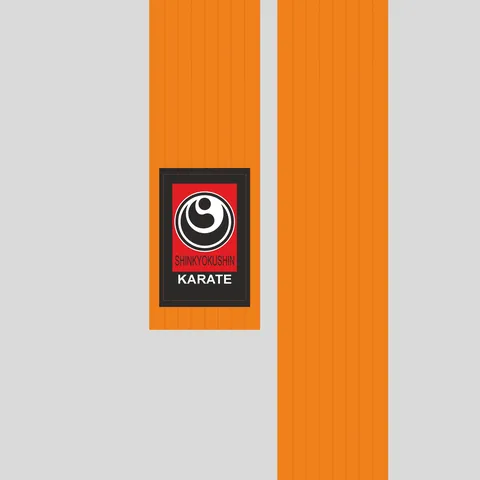 Belt for kimono (obi) WKO ORANGE