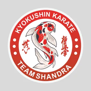 Шеврон клубу "Shandra Team"